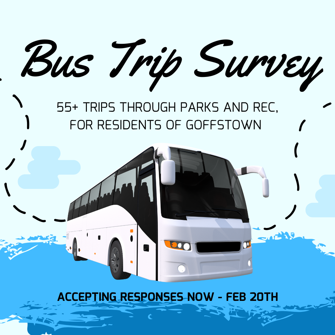 Bus Survey