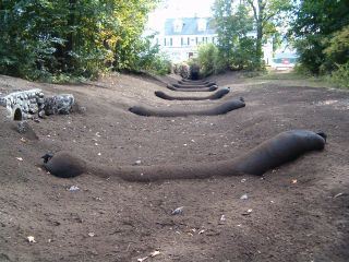 Swale Repair 5 - USE