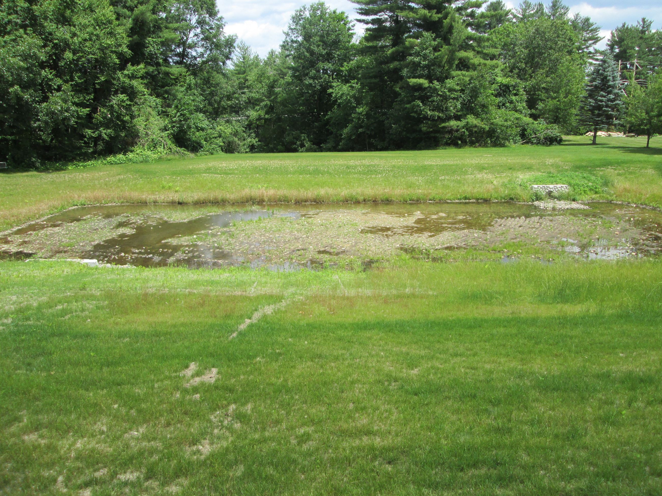 Tyler Drive Detention Pond after